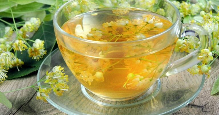 recettes à base de tilleul jolijeune